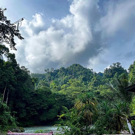 Charlys Little House Hotel Bukit Lawang Ngoại thất bức ảnh