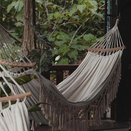 Charlys Little House Hotel Bukit Lawang Ngoại thất bức ảnh