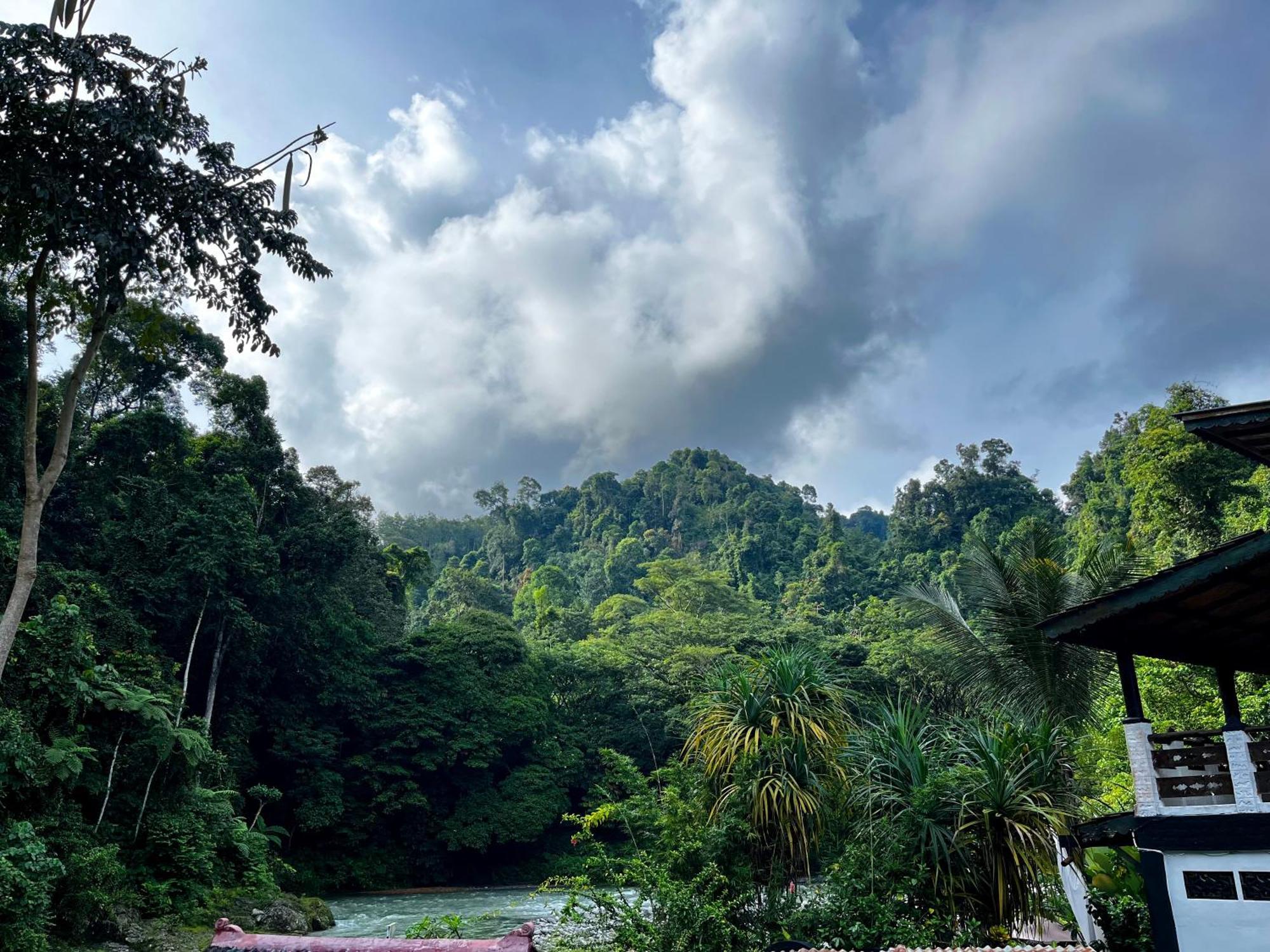 Charlys Little House Hotel Bukit Lawang Ngoại thất bức ảnh