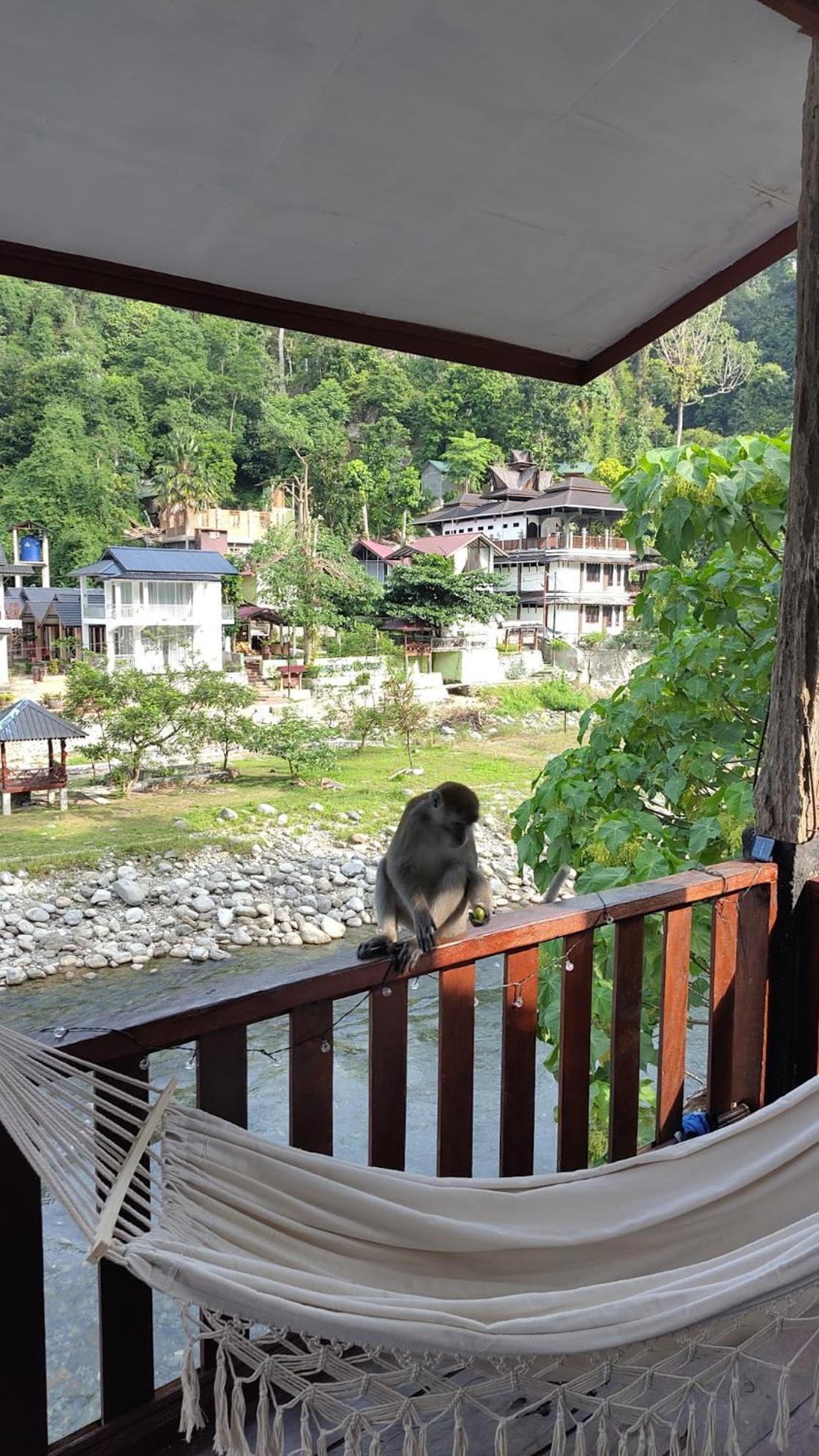 Charlys Little House Hotel Bukit Lawang Ngoại thất bức ảnh