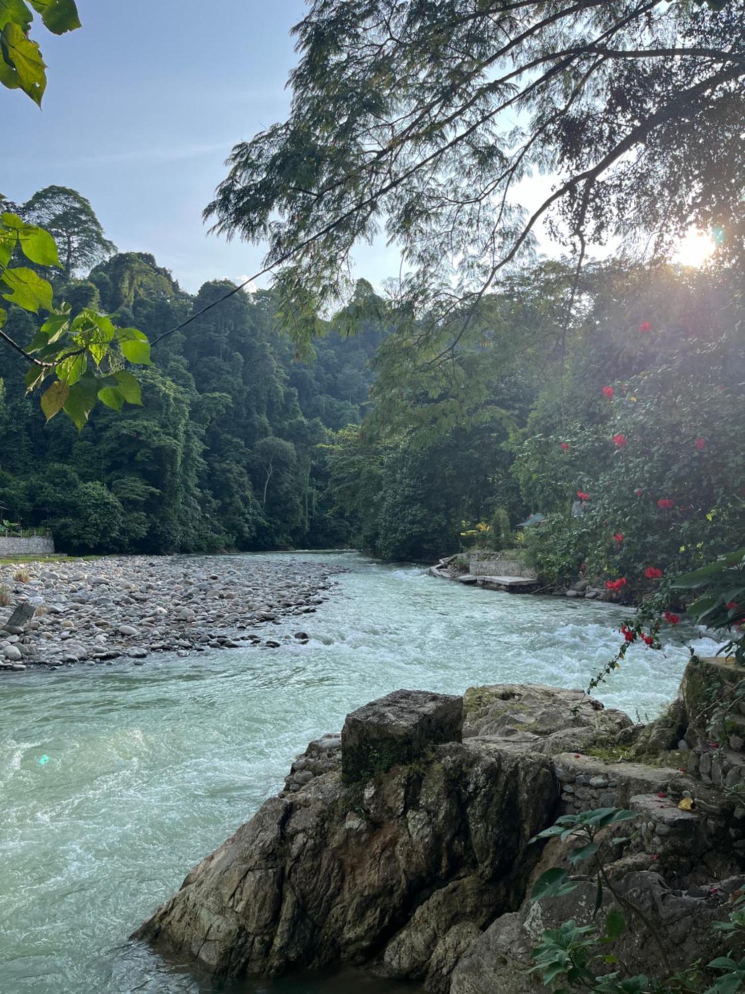 Charlys Little House Hotel Bukit Lawang Ngoại thất bức ảnh