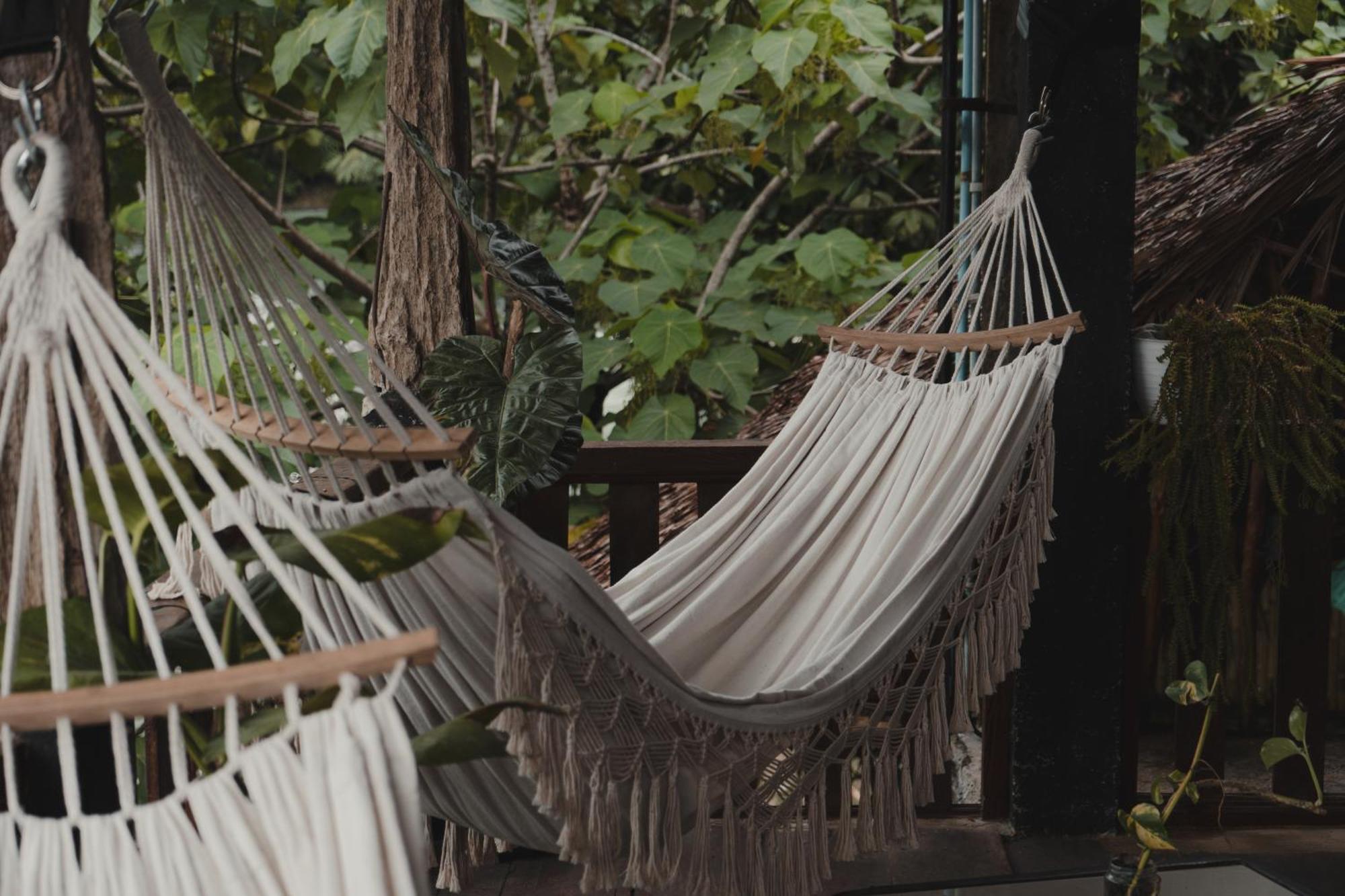 Charlys Little House Hotel Bukit Lawang Ngoại thất bức ảnh