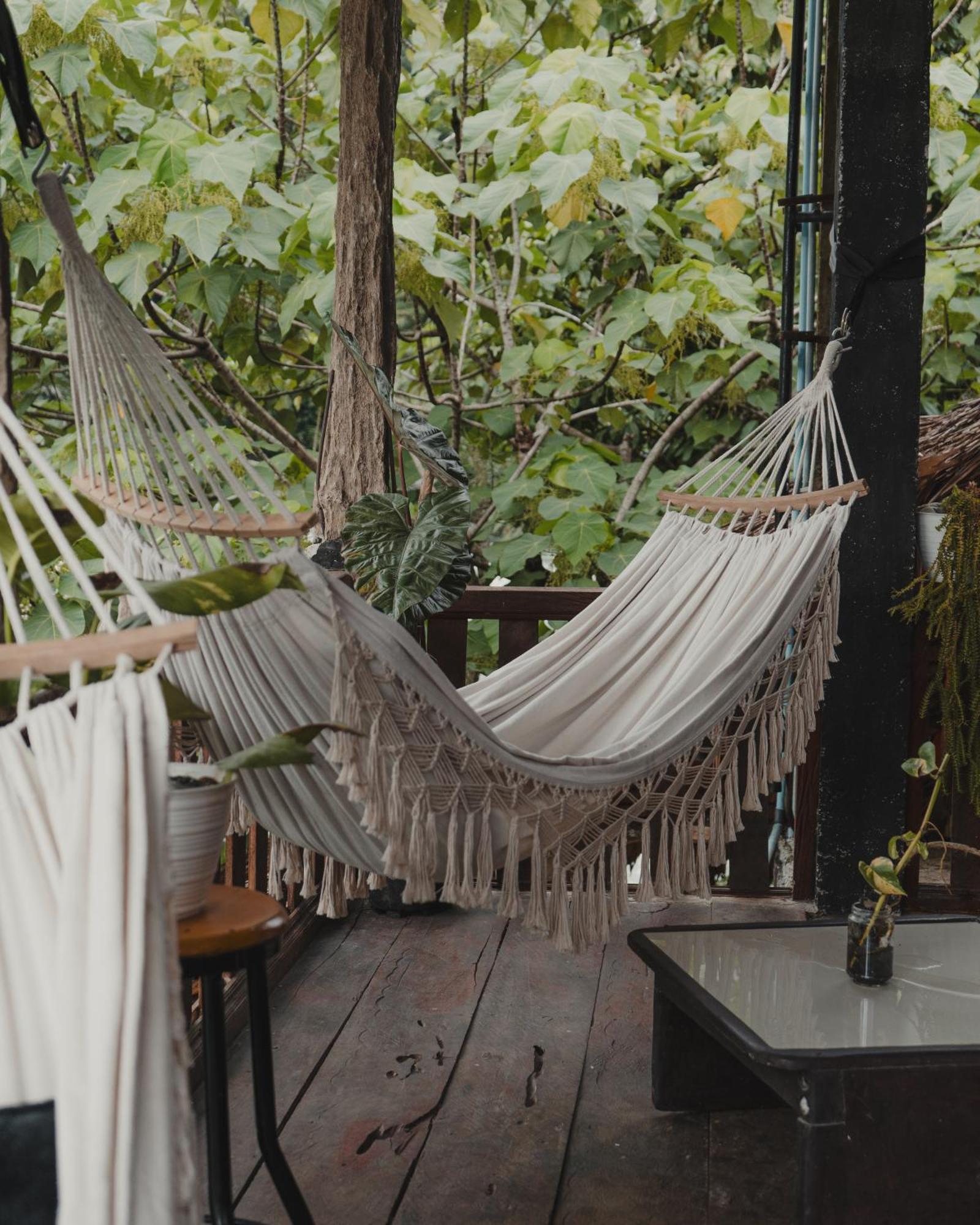 Charlys Little House Hotel Bukit Lawang Ngoại thất bức ảnh