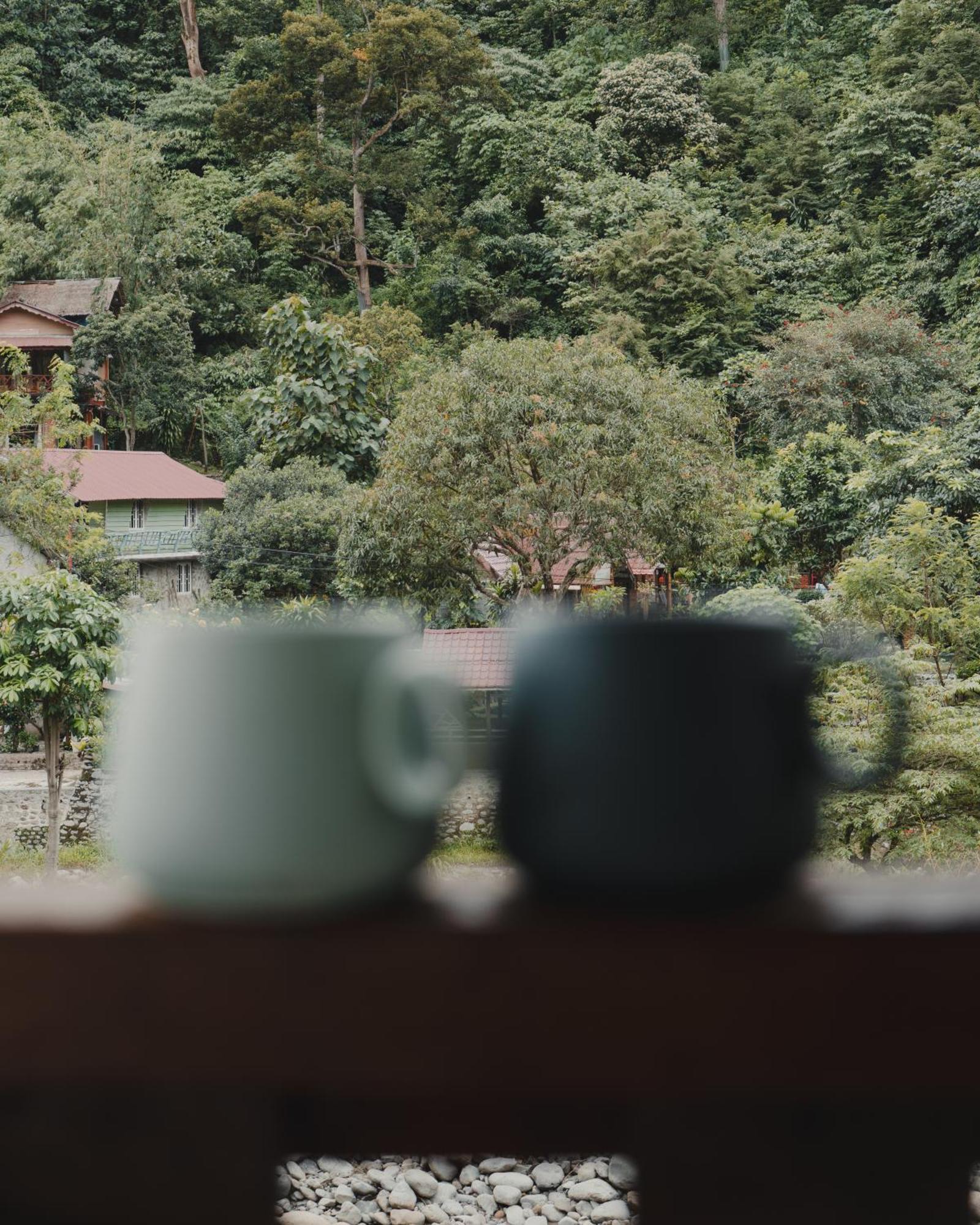 Charlys Little House Hotel Bukit Lawang Ngoại thất bức ảnh